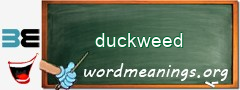 WordMeaning blackboard for duckweed